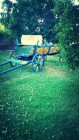 Самостоятелни стаи VIA PONTIKA