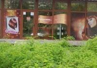 Салон за красота VANESSA - Варна